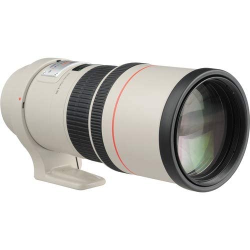 Amazon.co.jp: Canon 単焦点望遠レンズ EF300mm F4L IS USM フルサイズ