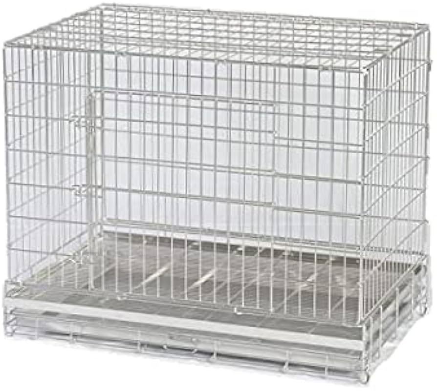 Amazon | 市瀬 ハチコウステンレスケージ SSLL-SOP | 市瀬 | 飼育