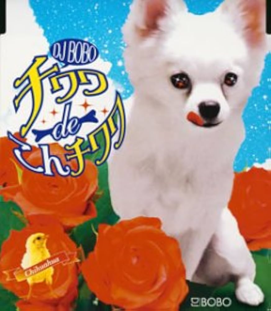 Amazon.co.jp: チワワ de こんチワワ: ミュージック