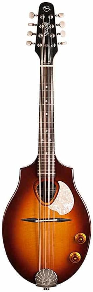 Amazon | Seagull Guitars S8 MANDOLIN SUNBURST EQ エレクトリック