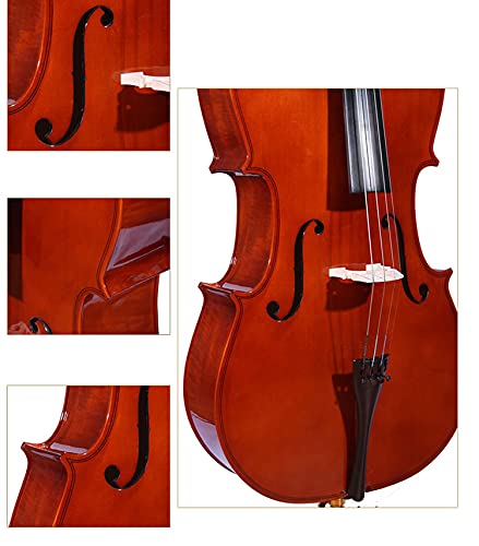 Amazon | KALELAISU チェロ メープル材 艶ありチェロ 1/4 5-7歳 子供用