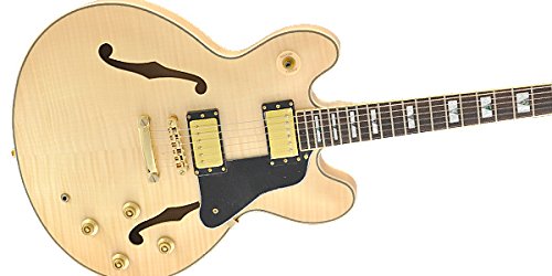 Amazon | 【国内正規品】 PLAYTECH プレイテック セミアコースティック