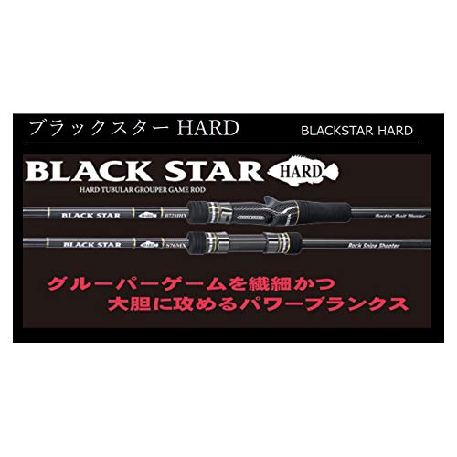 Amazon | ゼスタ(XESTA) ブラック☆スターハード S84MHXバーサイタル