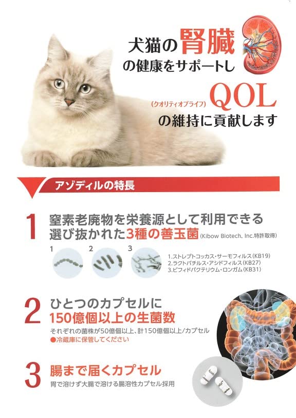 Amazon.co.jp: 【犬猫用サプリメント】アゾディル (90カプセル×1個