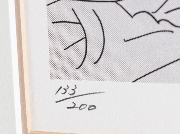 Amazon.co.jp: □ わたせせいぞう|思い出のGentle R|シルクスクリーン