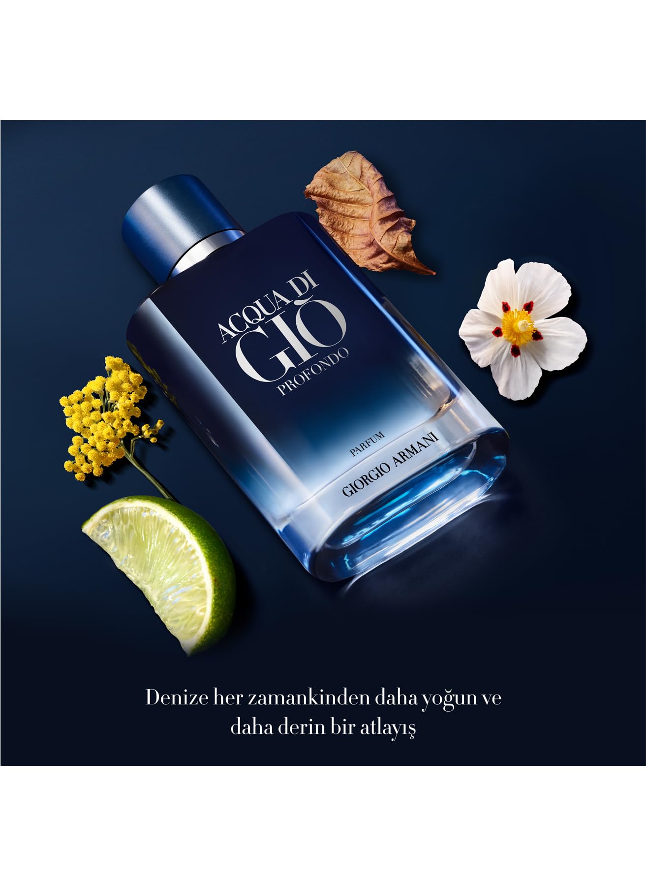 Amazon.com: Armani Beauty – Acqua di Giò Profondo – Eau de Parfum