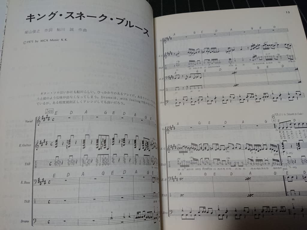 Amazon.co.jp: 希少 SONHOUSE CRAZY DIAMONDS サンハウス クレージー