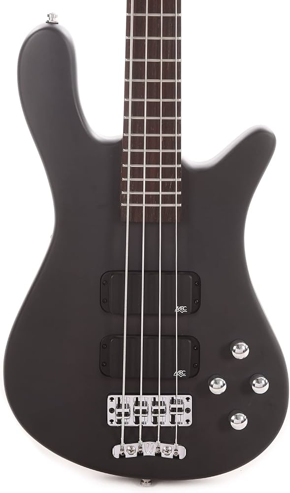 Amazon | WARWICK Rockbass Streamer Standard 4st Nirvana Black