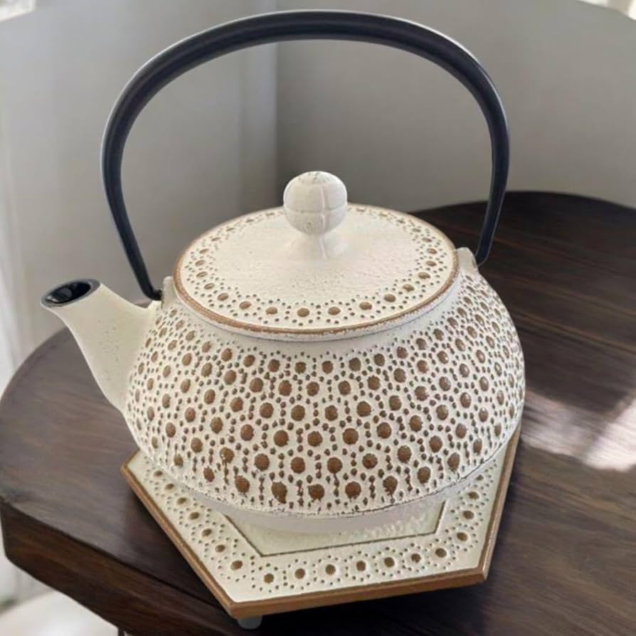 Amazon.co.jp: アンシャンテ NO.5 カモミール カラーポットセット 南部