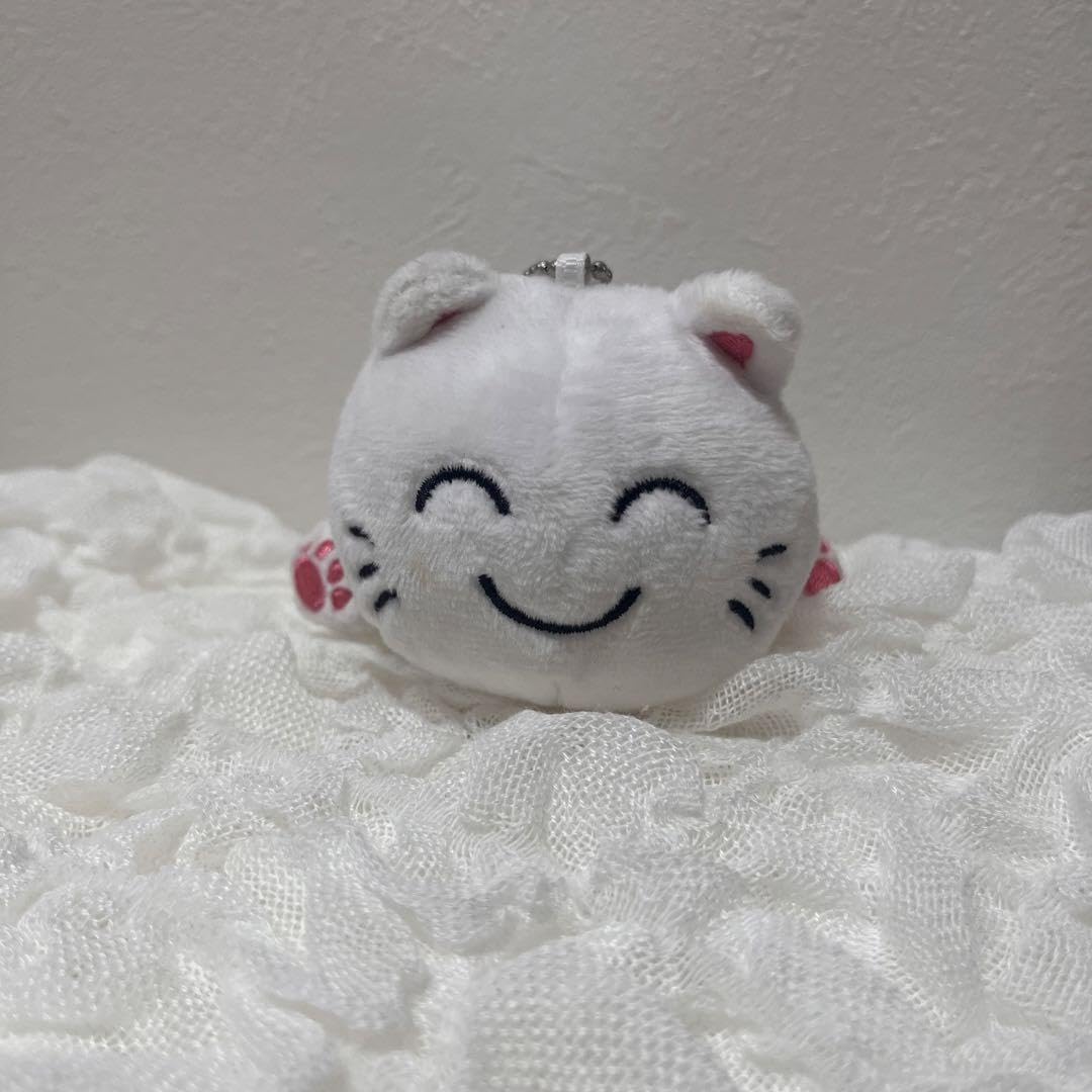 Amazon.co.jp: nqrse なるせねこ ぬいぐるみ : ホーム＆キッチン