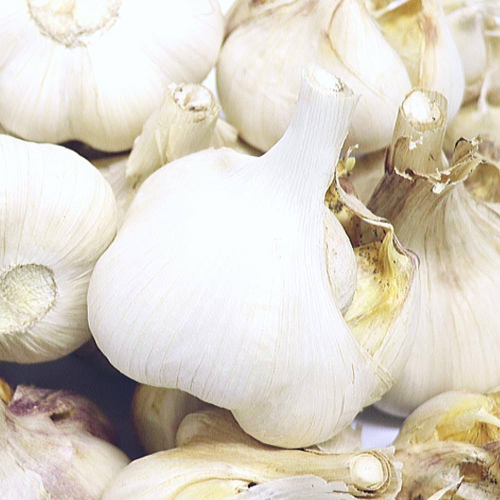 Amazon.co.jp: 青森 にんにく 訳あり 1kg 業務用 C品 Lサイズ 根土付き