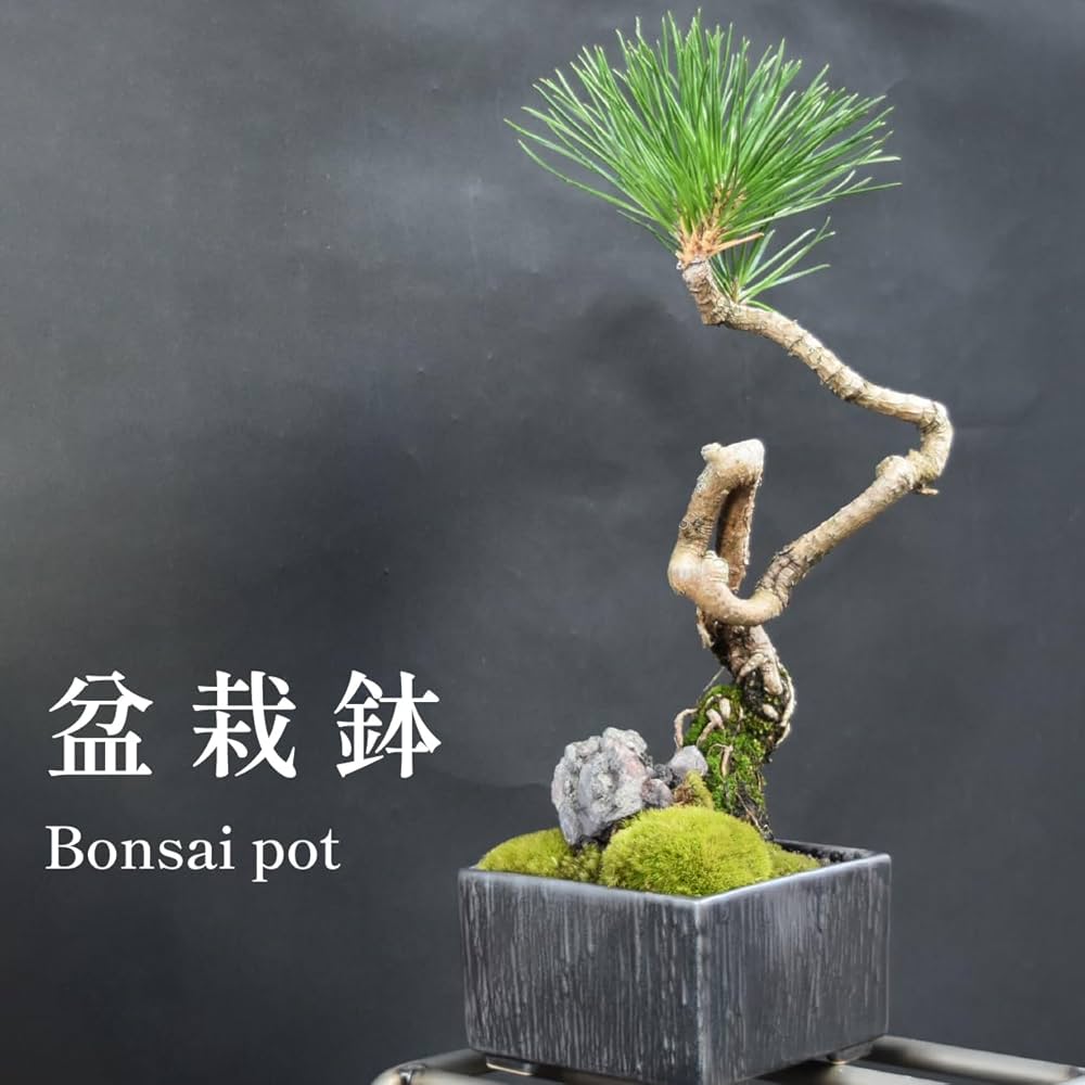 Amazon | Leaf88 盆栽鉢 10x10x6.5cm 3.5号 4号 グレー 植木鉢 和風