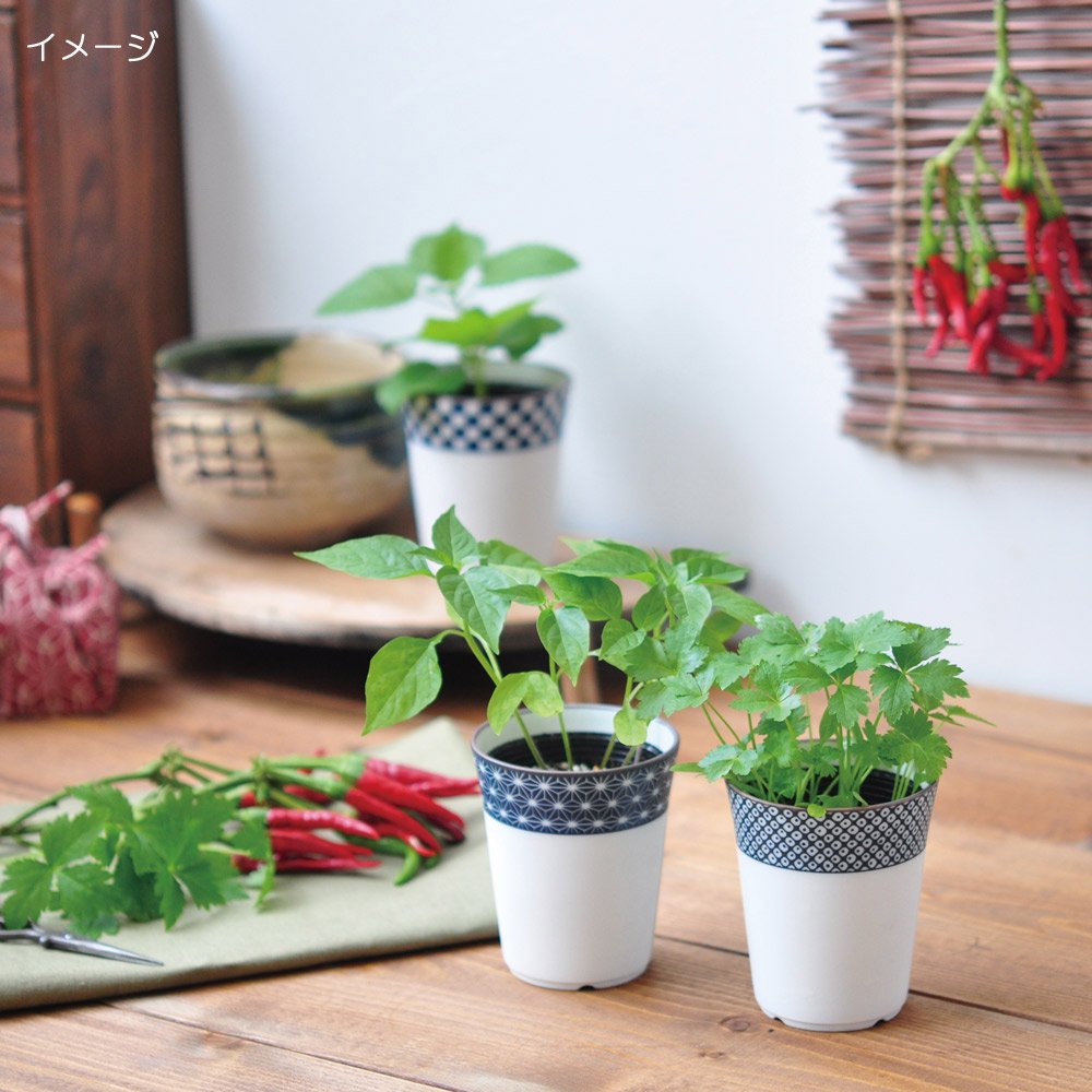 Amazon.co.jp: 聖新陶芸 染付小紋薬味小鉢 みつ葉 : ホーム＆キッチン