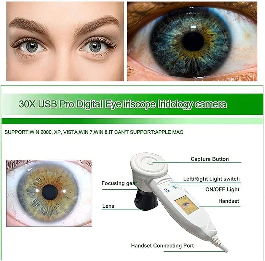 71xXsvVeK1L._AC_UF894,