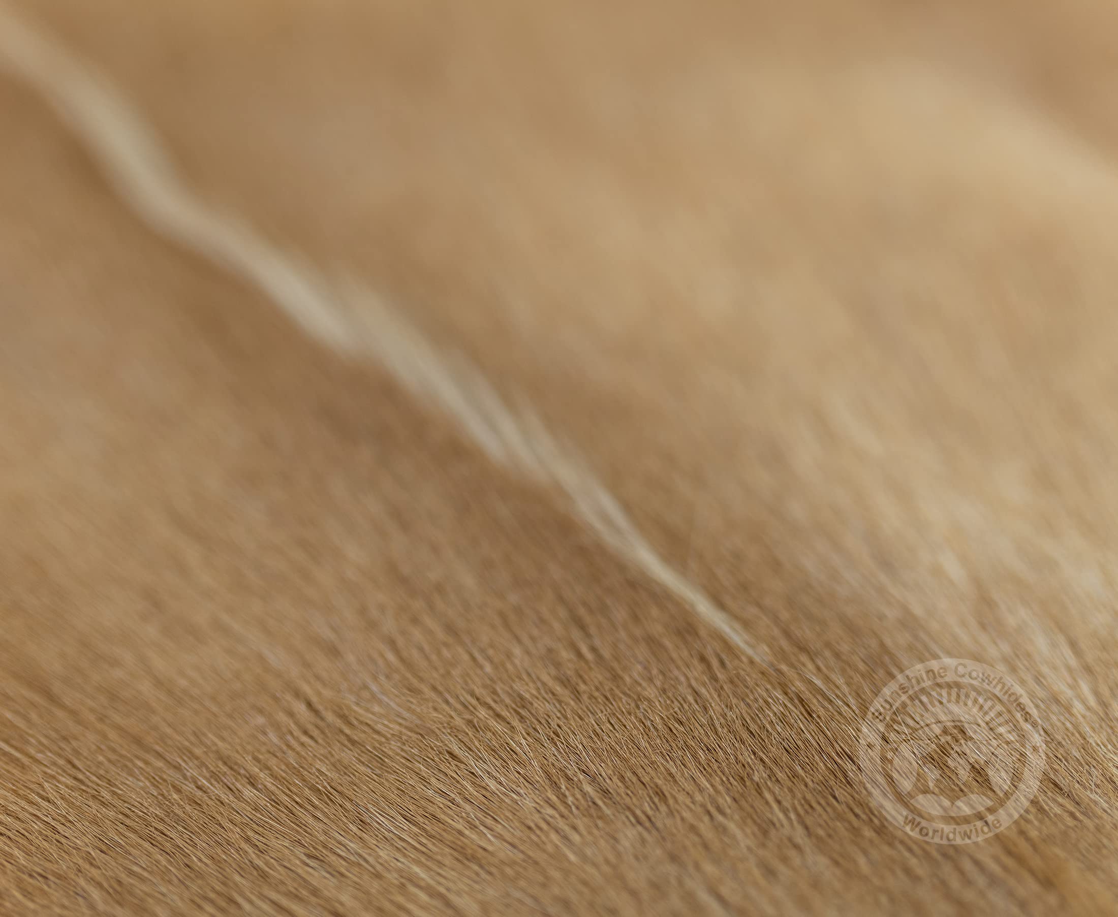 Amazon｜Sunshine Cowhides 100% 本物のヤギ皮ラグ - ベージュ