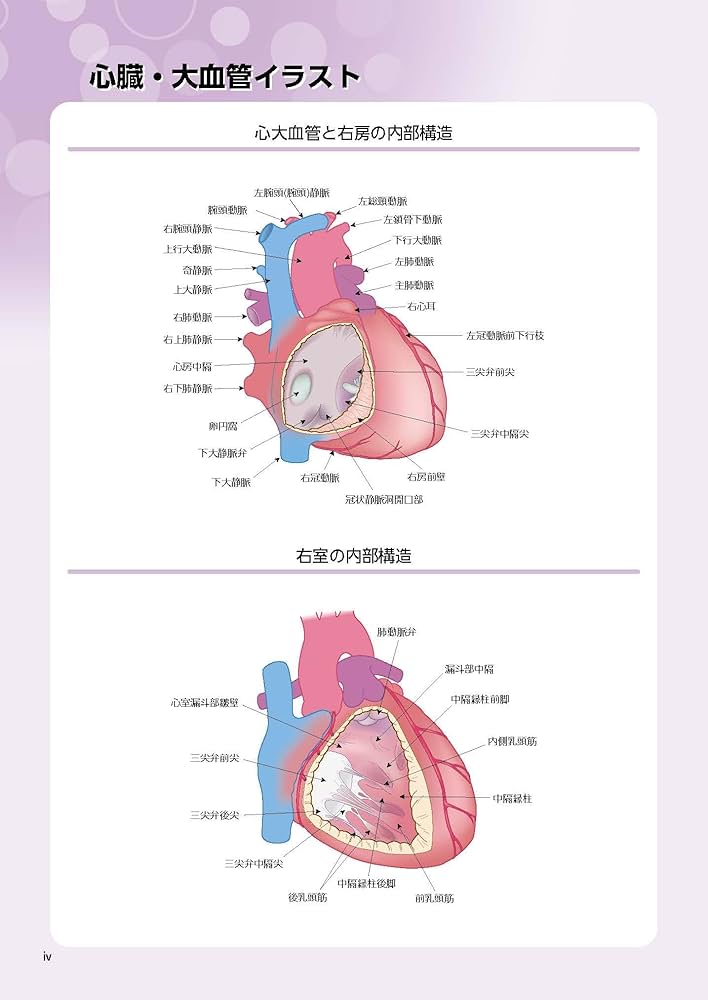 71CpS2dFPtL._AC_UF1000,