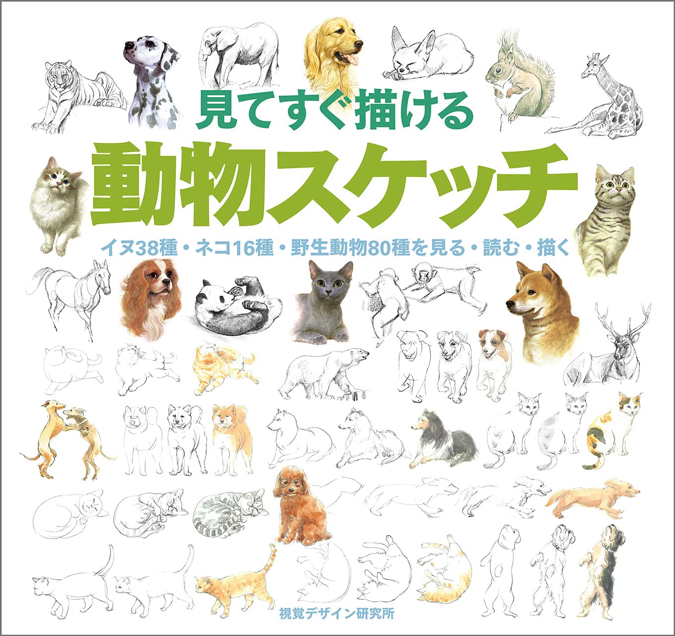 Amazon.co.jp: 見てすぐ描ける動物スケッチ イヌ38種・ネコ16種・野生