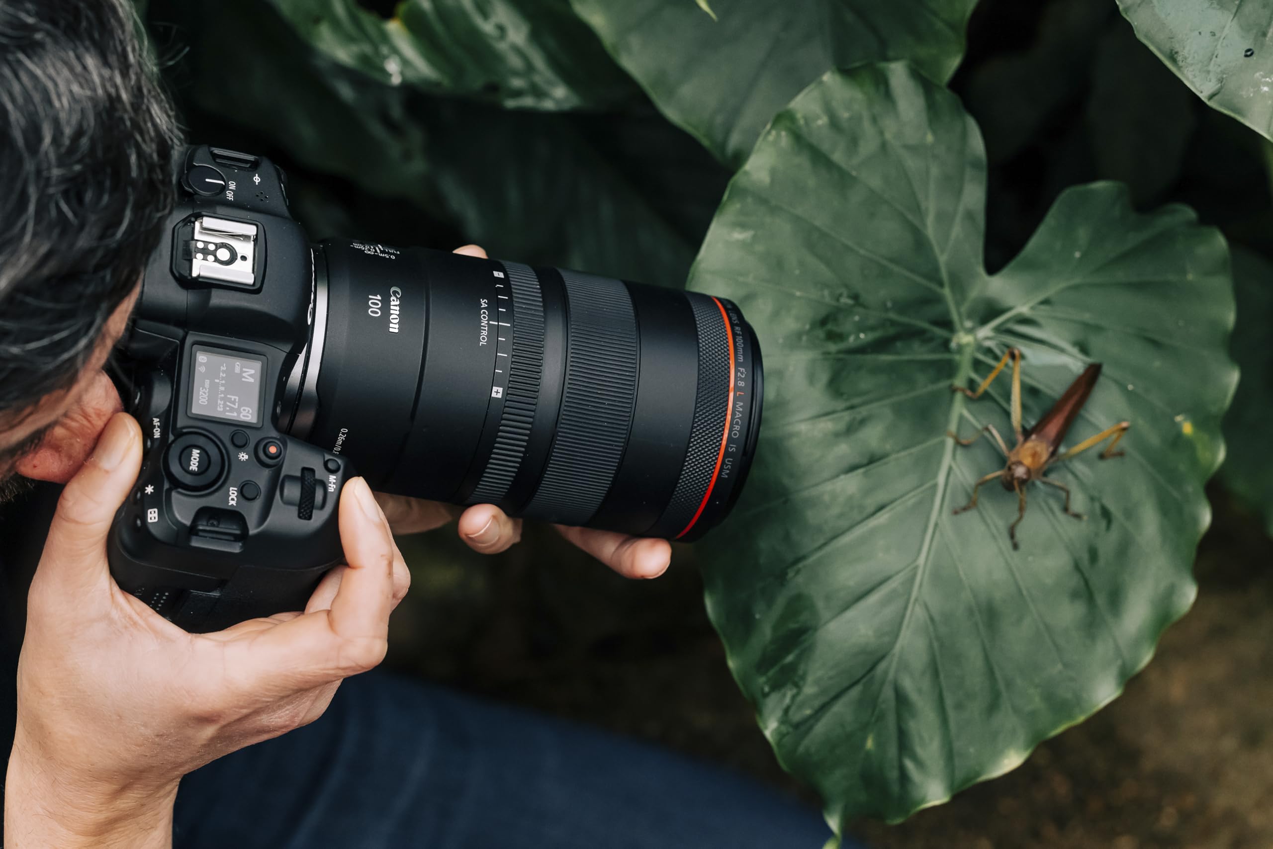 Amazon | Canon RF100mm F2.8 L MACRO IS USM | ミラーレス一眼 通販