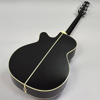 Amazon | Takamine TDP561C BL エレアコギター 【500シリーズ