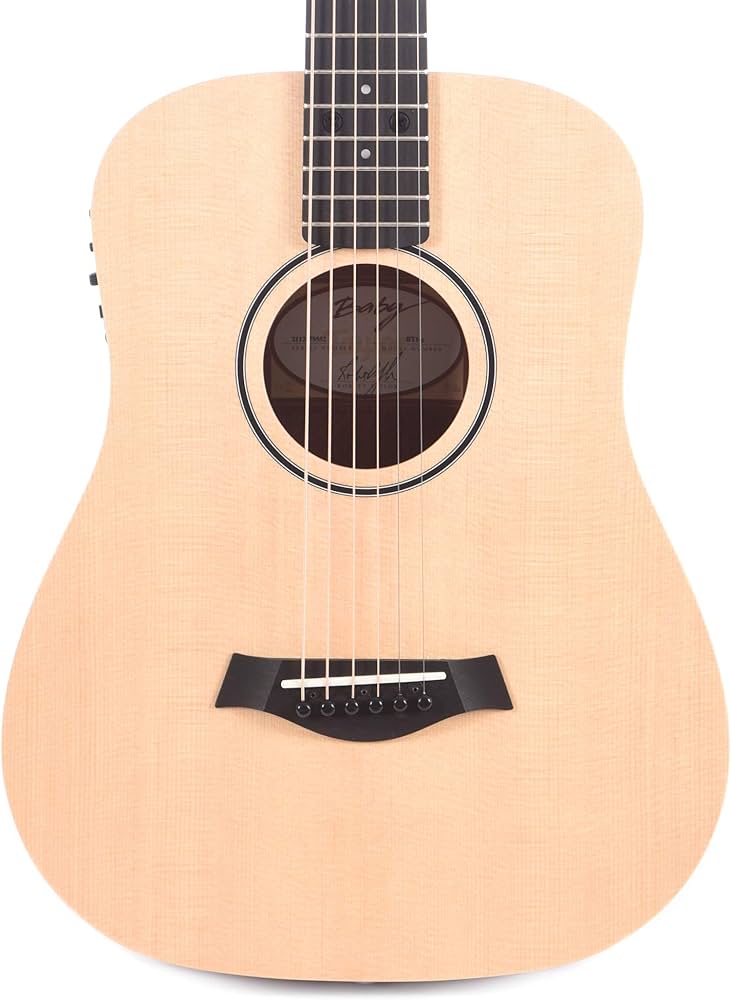 Amazon.com: Taylor Baby Taylor BT1e Walnut - Natural Sitka Spruce
