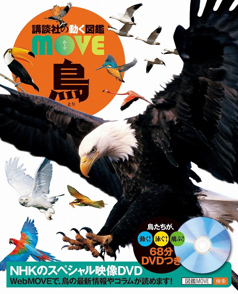 DVD付 鳥 | 講談社, 川上 和人 |本 | 通販 | Amazon