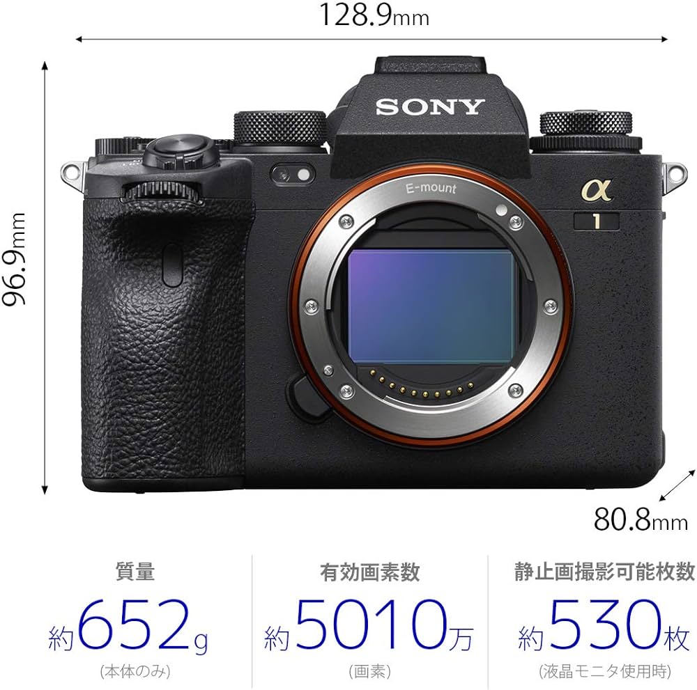 Amazon | SONY(ソニー) フルサイズミラーレスカメラ ILCE-1 black