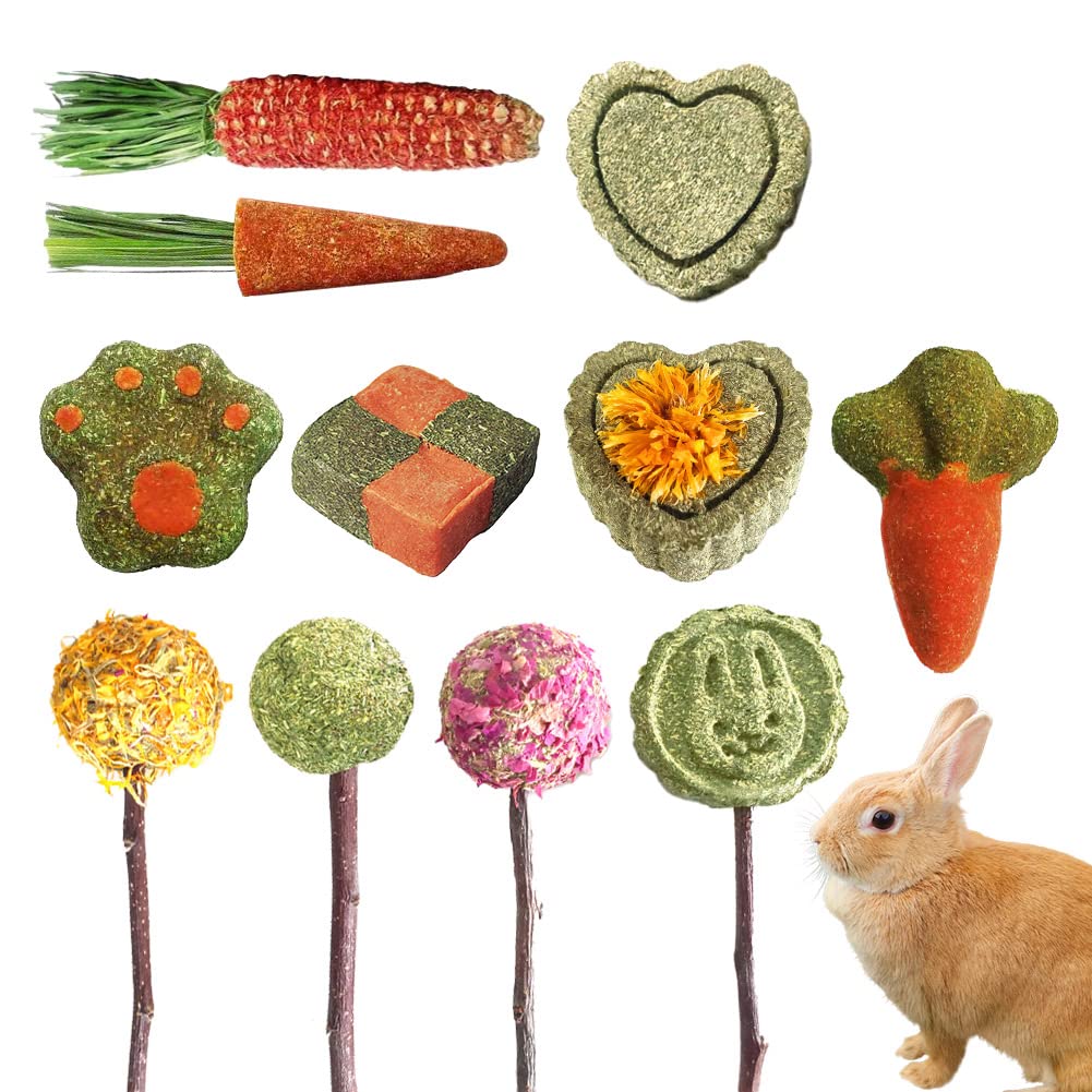 Amazon | fuu 草食動物のおやつ 牧草クッキー ランダム10個セット