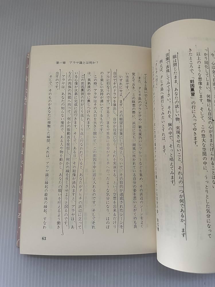 新説阿頼耶識縁起: かくされたパワーを引き出すアラヤ瞑想術のすすめ