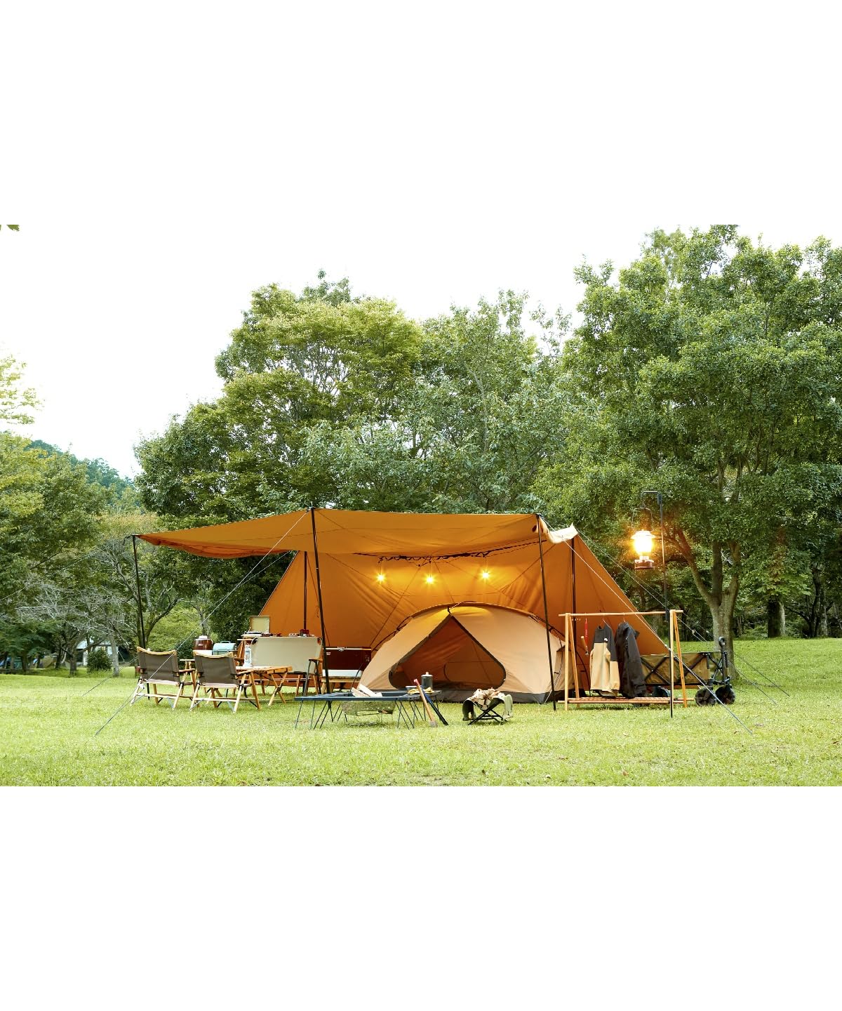 Amazon | [ビジョンピークス] シェルタータープ 4～6人用 TCバタフライ