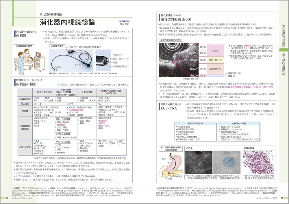 病気がみえる vol.1 消化器 第6版 | 医療情報科学研究所 |本 | 通販