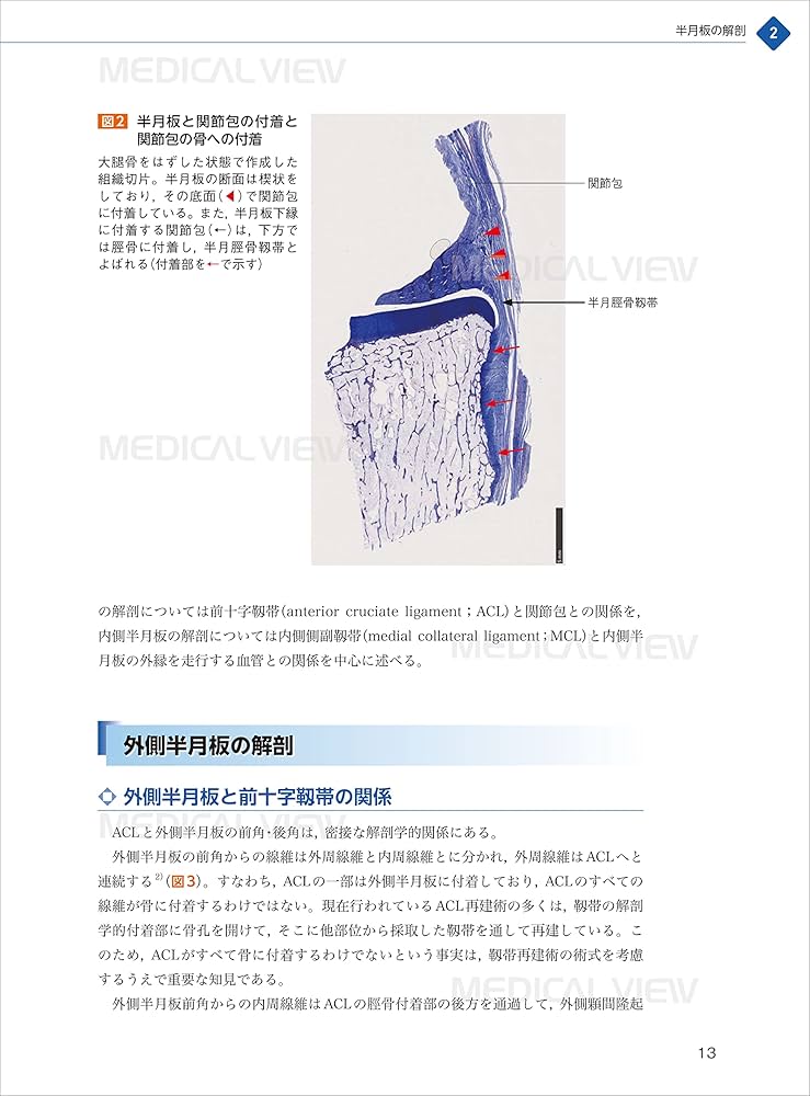 半月板のすべて−解剖から縫合手術,再生治療まで | 宗田 大, 関矢 一郎