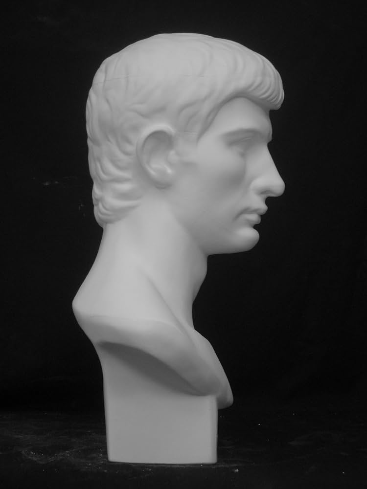 Amazon.co.jp: 石膏像 K－165 青年ブルータス胸像 H．53cm