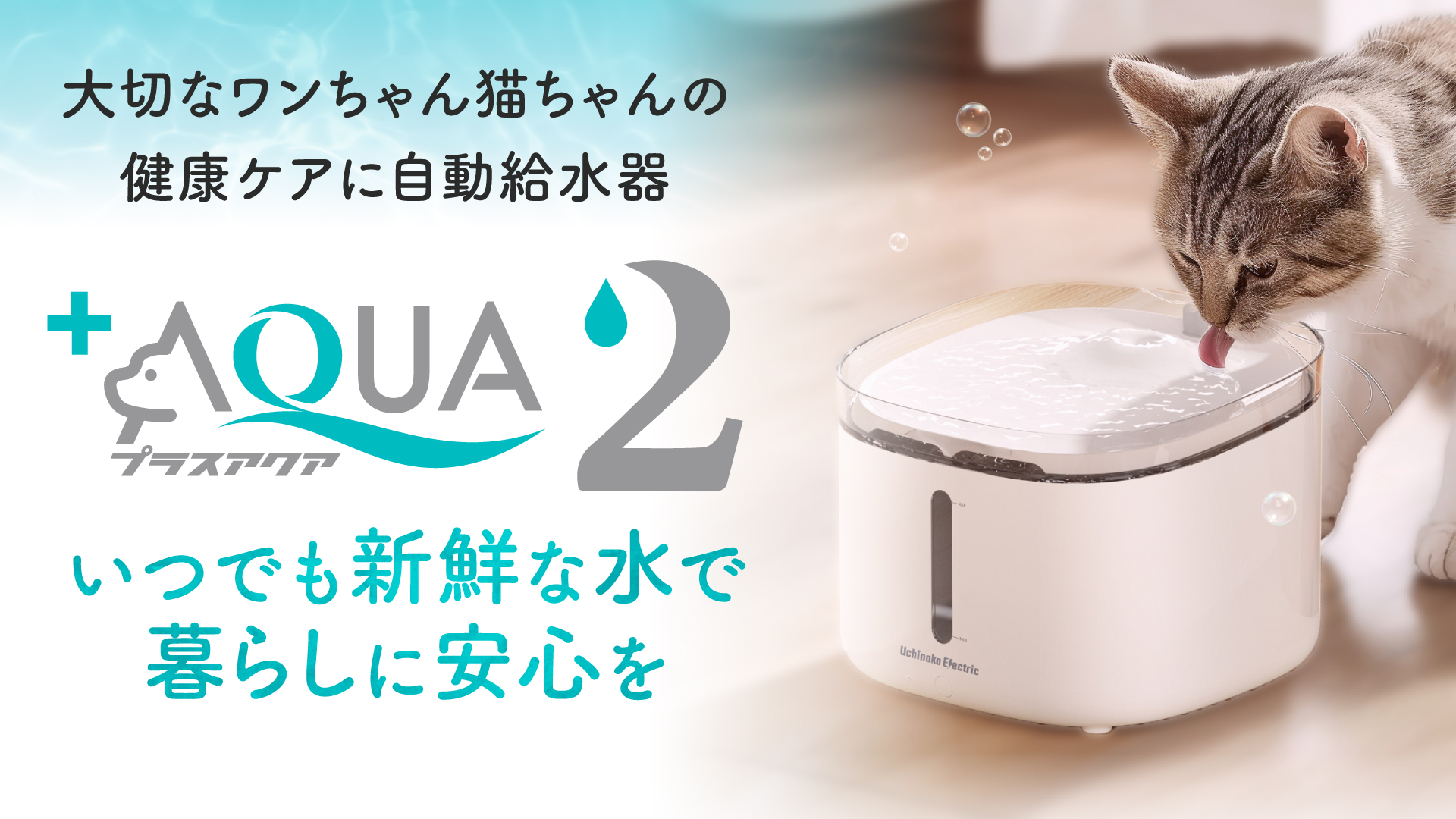 Amazon.co.jp: Uchinoko Electric Plus Aqua 2 Cat Dog Automatic