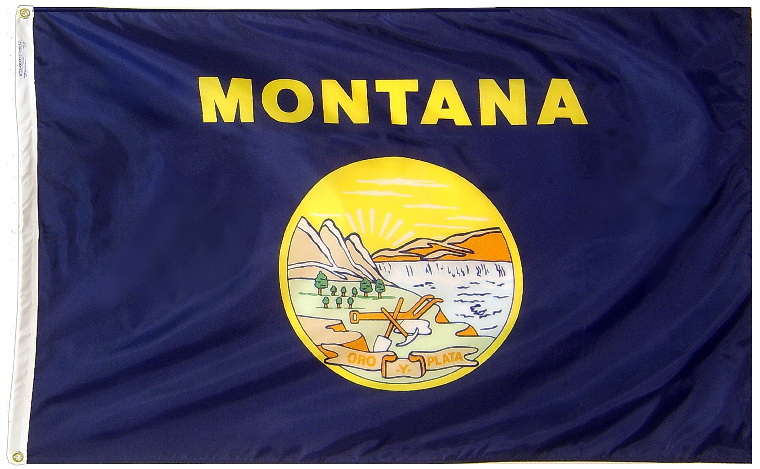 Amazon.com : Annin Flagmakers Montana State Flag USA-Made to