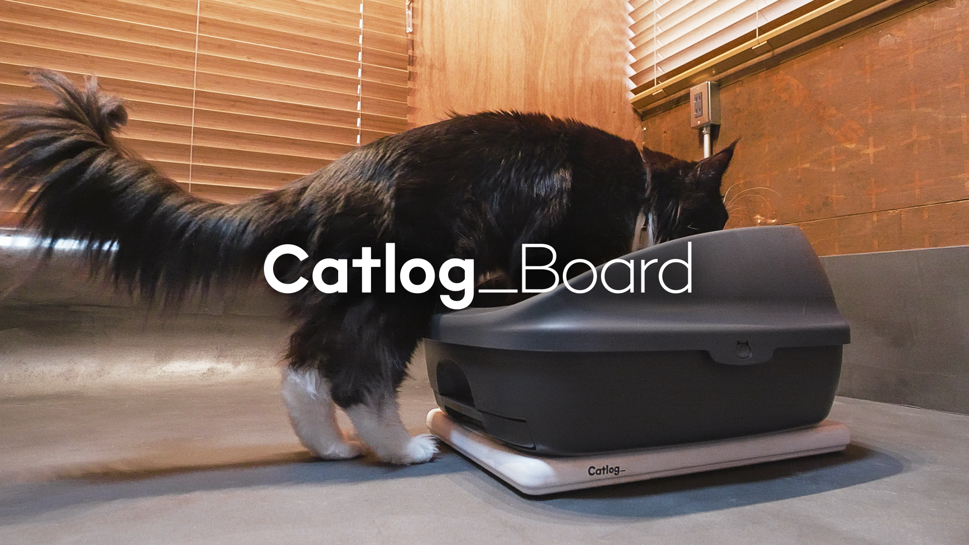 Amazon | Catlog Board 2 トイレの下に置くだけで始める猫様の健康管理