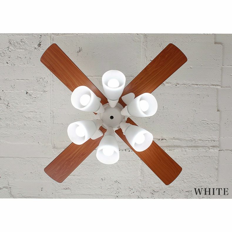 シーリングファン Windouble (6-lights)