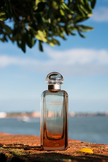 ラグーナの庭」の優しい香りに、秘密の庭の記憶が蘇る。｜Beauty