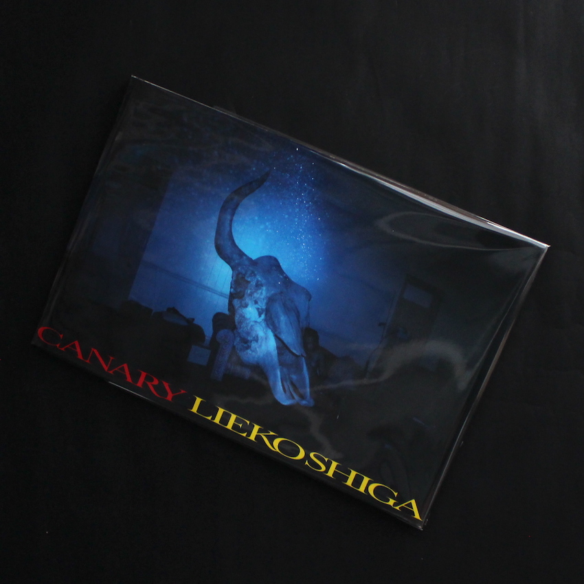 カナリア / Canary - 志賀 理江子 / Lieko Shiga