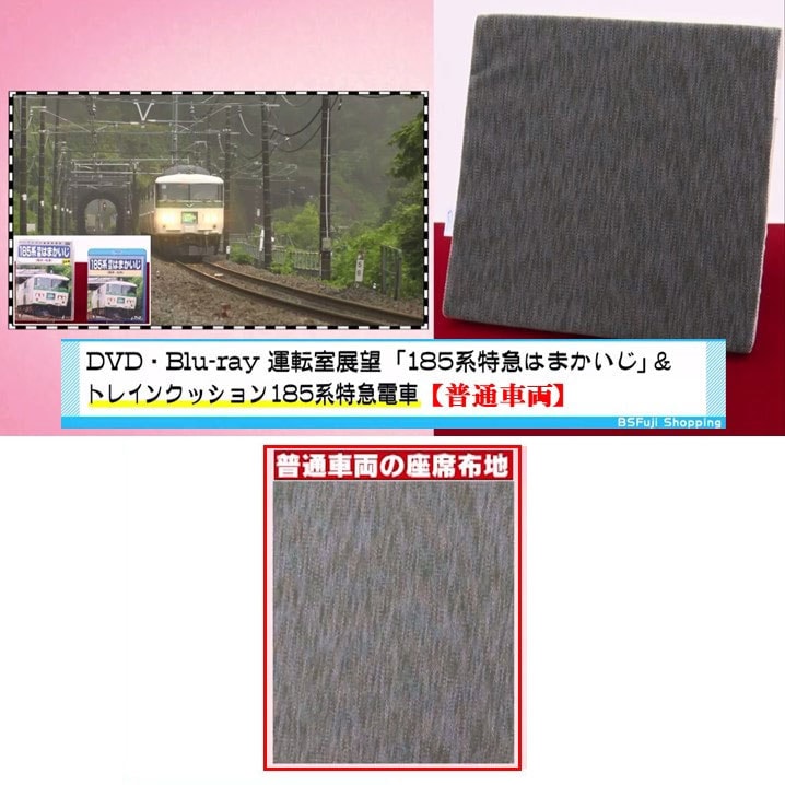 限定50セット・特別価格】 「185系 特急はまかいじ」 セット 運転室
