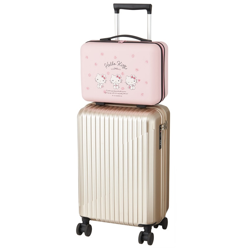 ハード キャリーオン ケース ミニ スーツケース トランクケース 機内