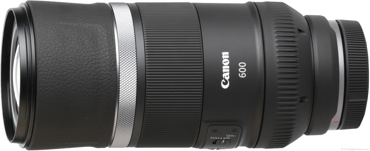 Canon RF 600mm F11 IS STM Lens Review