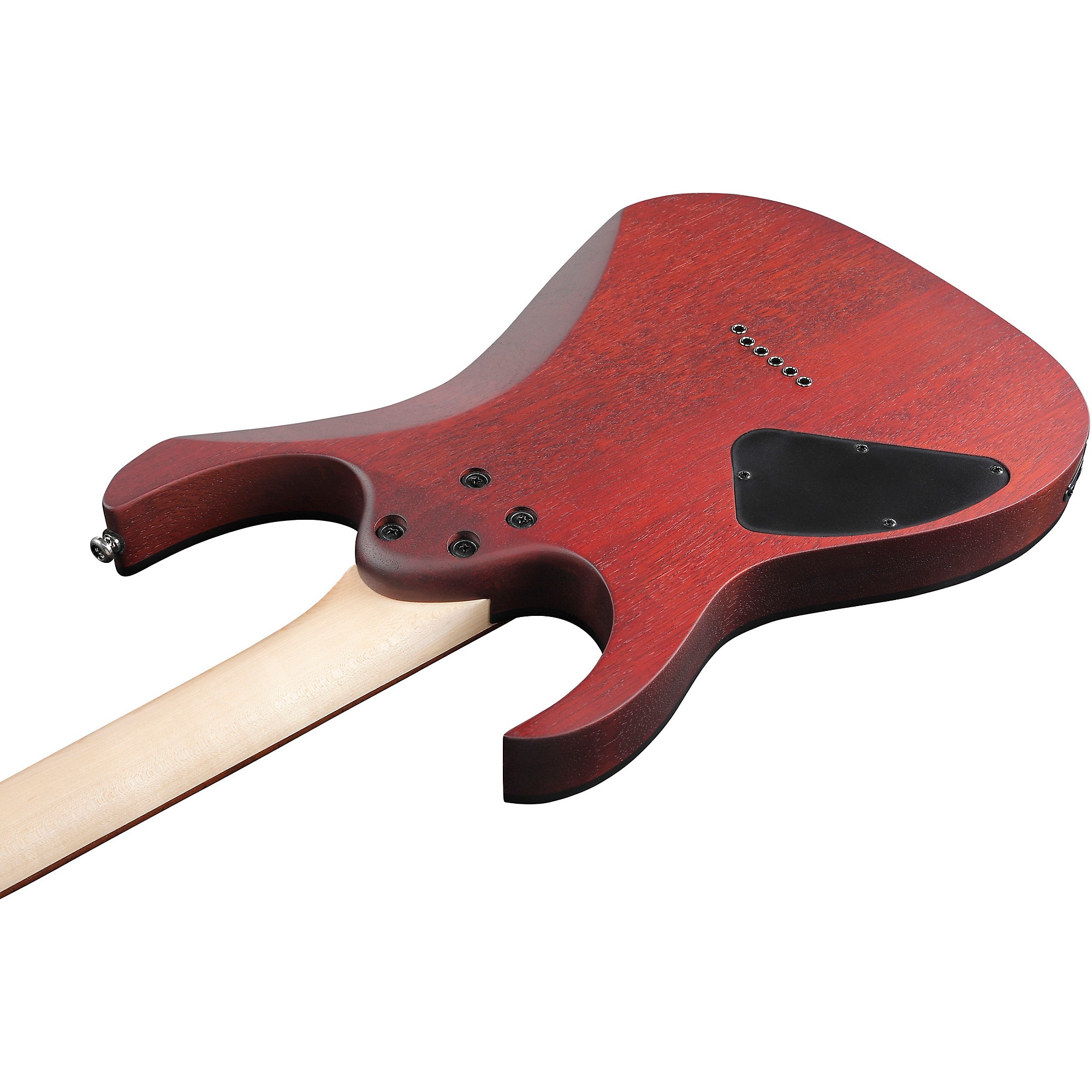 Ibanez RG Series RG421PB Electric Guitar | Music & Arts