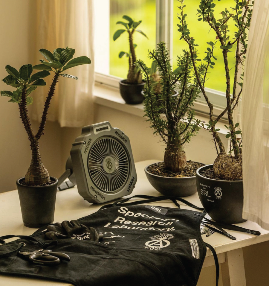 Lighting Fan' 14 SRL (Gray) – MELLOWIST