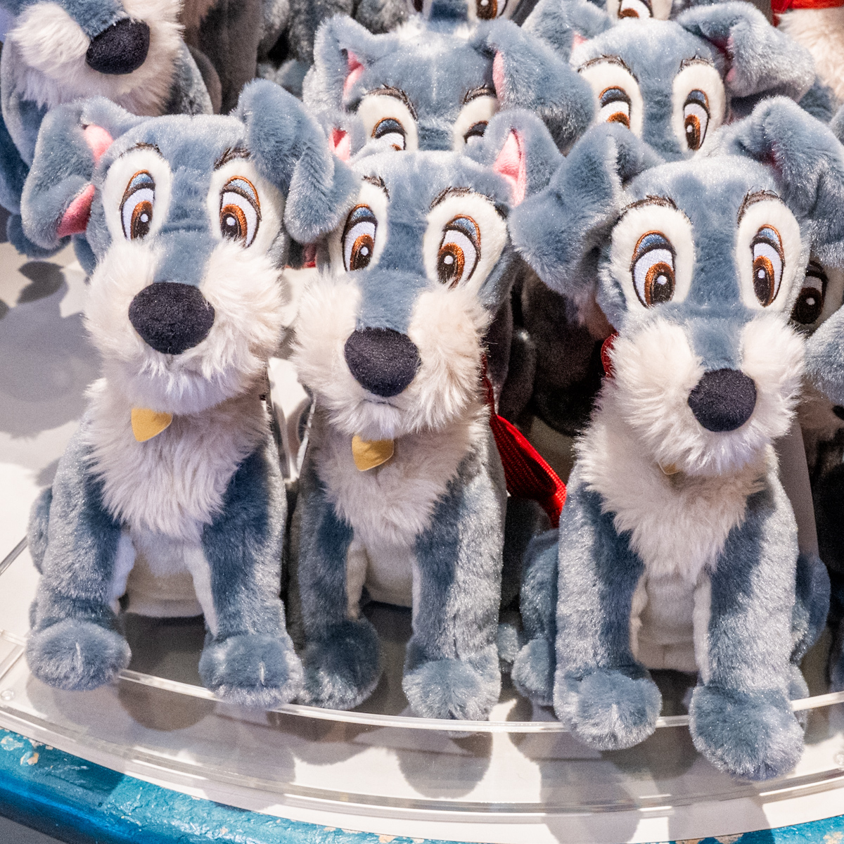 レディ、トランプデザイン！東京ディズニーランド『わんわん物語