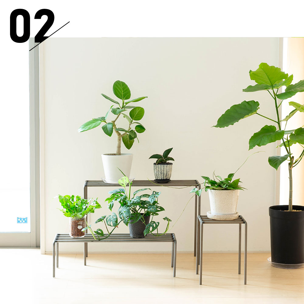 ディスプレイ棚｜植物をお洒落！シンプルなアイアンスタンド