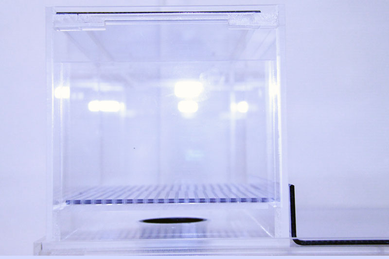 45×30×30(H)オーバーフローろ過槽セット - 熱帯魚のmishima