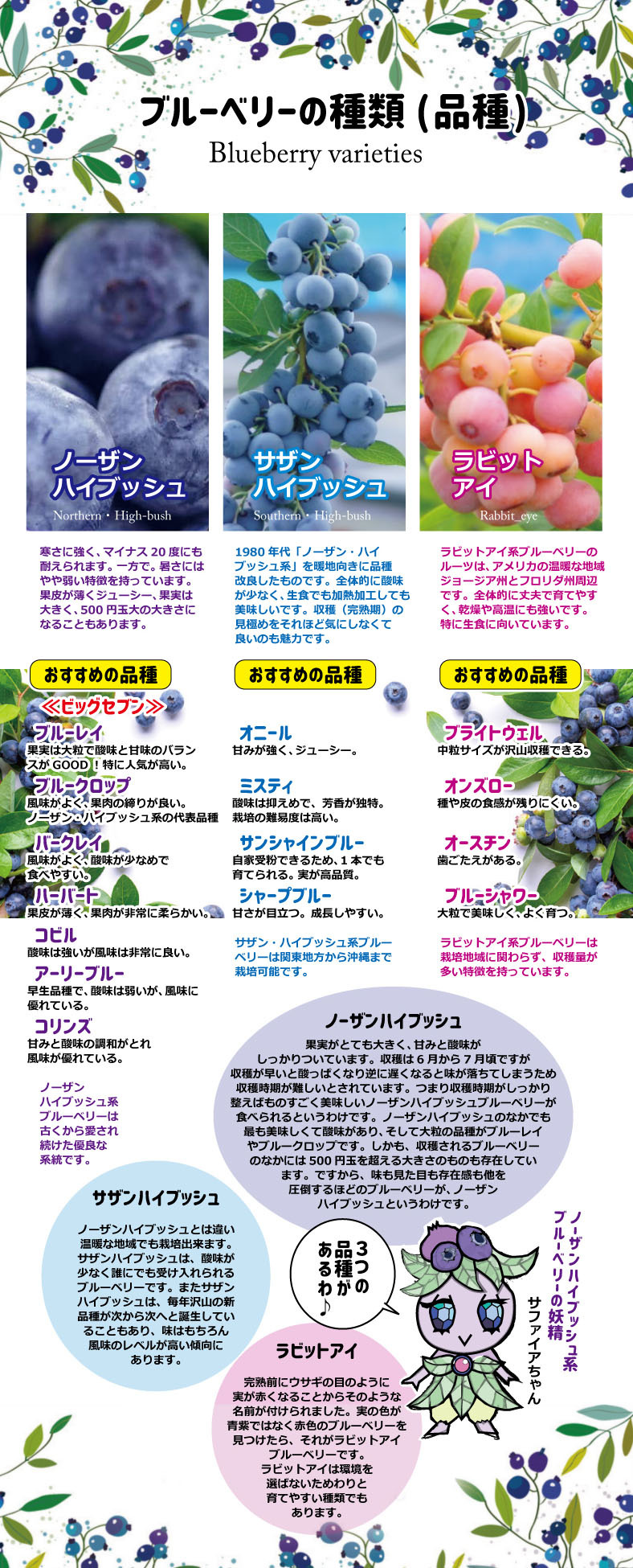 ブルーベリーの品種 -種類の紹介- 森の畑 通販サイト| 無農薬 お中元