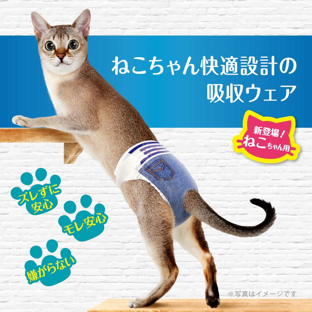 マナーウェア ねこ用 猫用おむつ SS/S/M/L 介護 マナーパンツ 16枚 12