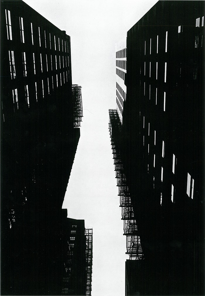 なかなか手を出せない、あこがれの本。思い切って手に取ってみました