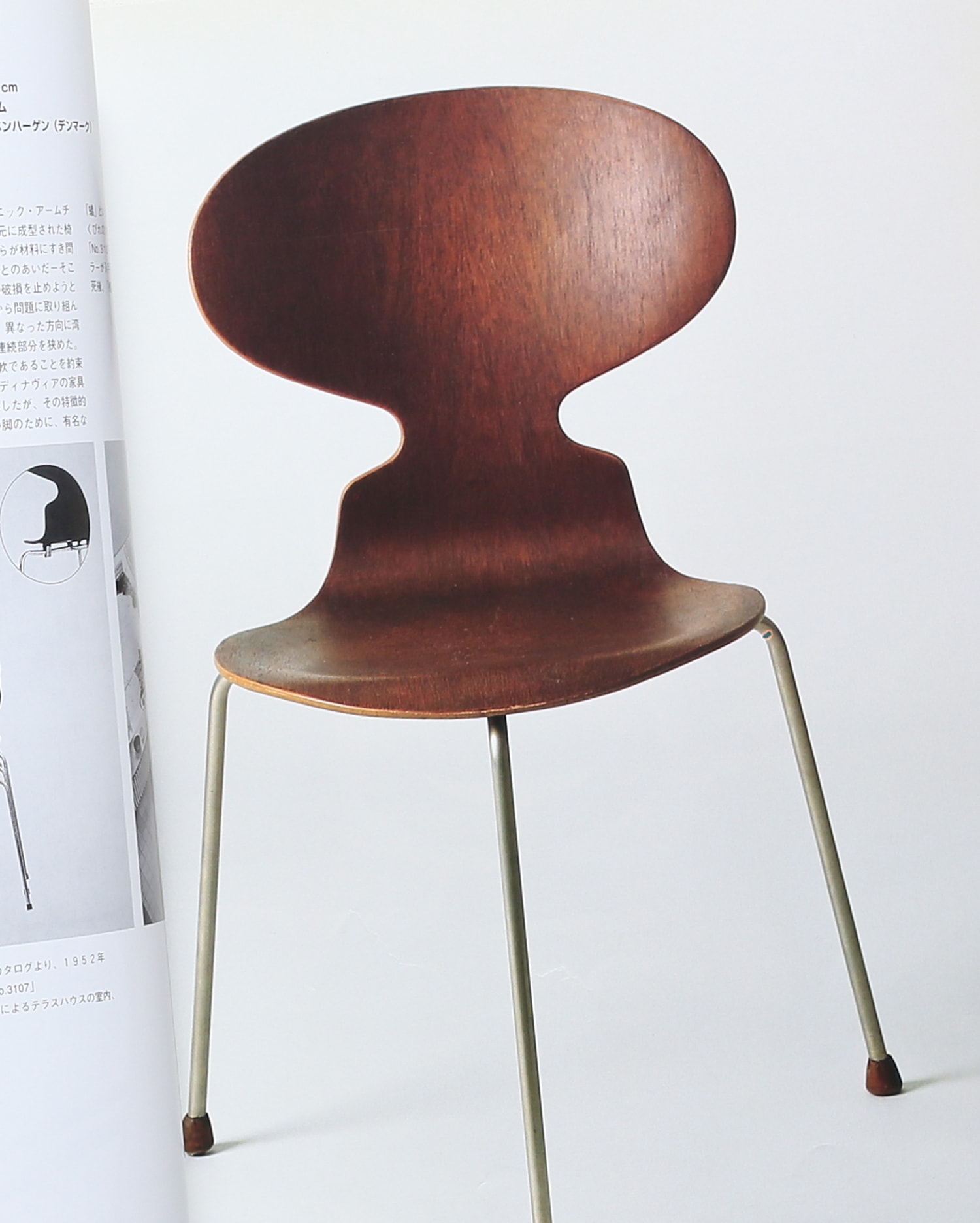 Rudolf Schwarz and the Monumental Order of Things | Adam Caruso